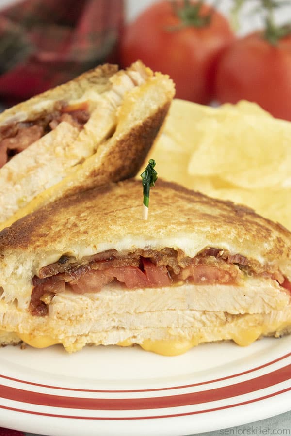 Turkey melt sandwich on a plate