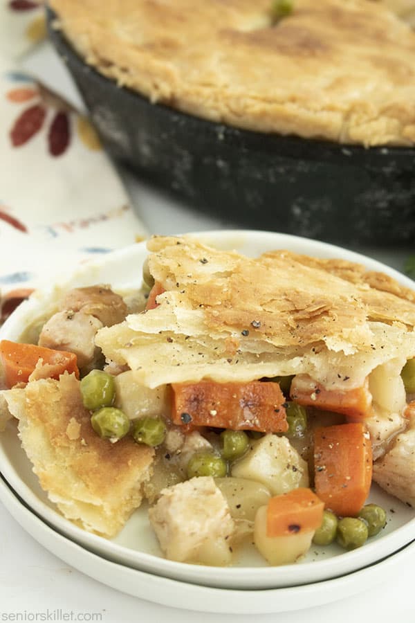 Baked pot pie on a plate